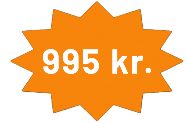 Bøgetræ pris