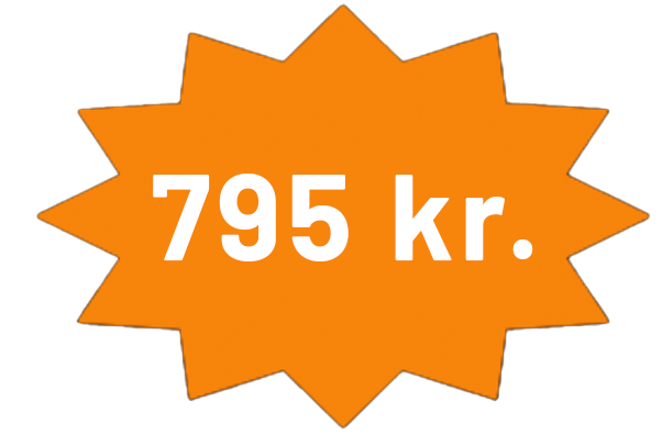 Birketræ pris